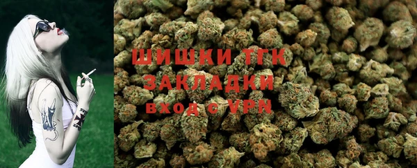 тгк Новодвинск