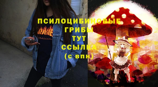 тгк Новодвинск