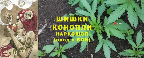 тгк Новодвинск